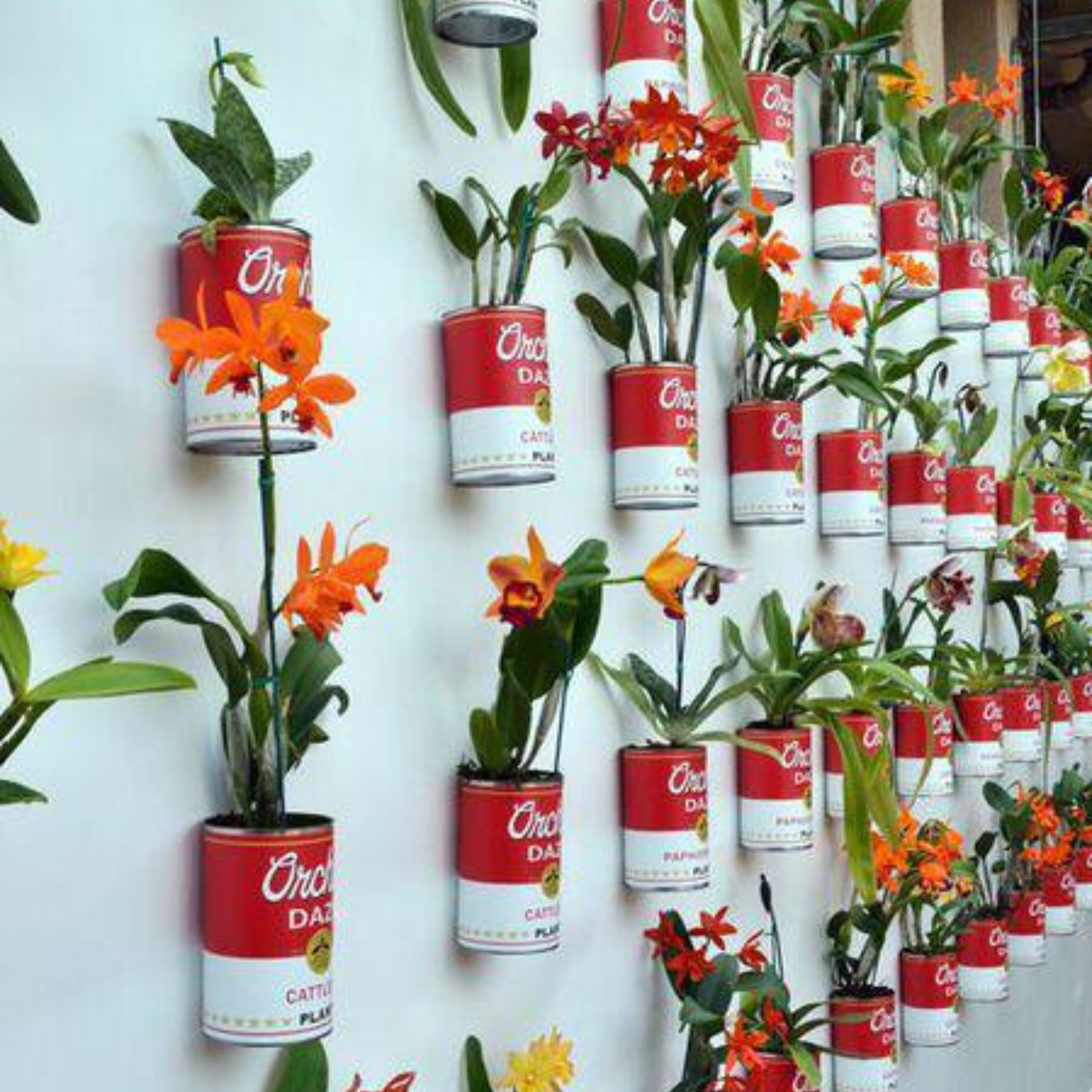 Recycled crafts with plants