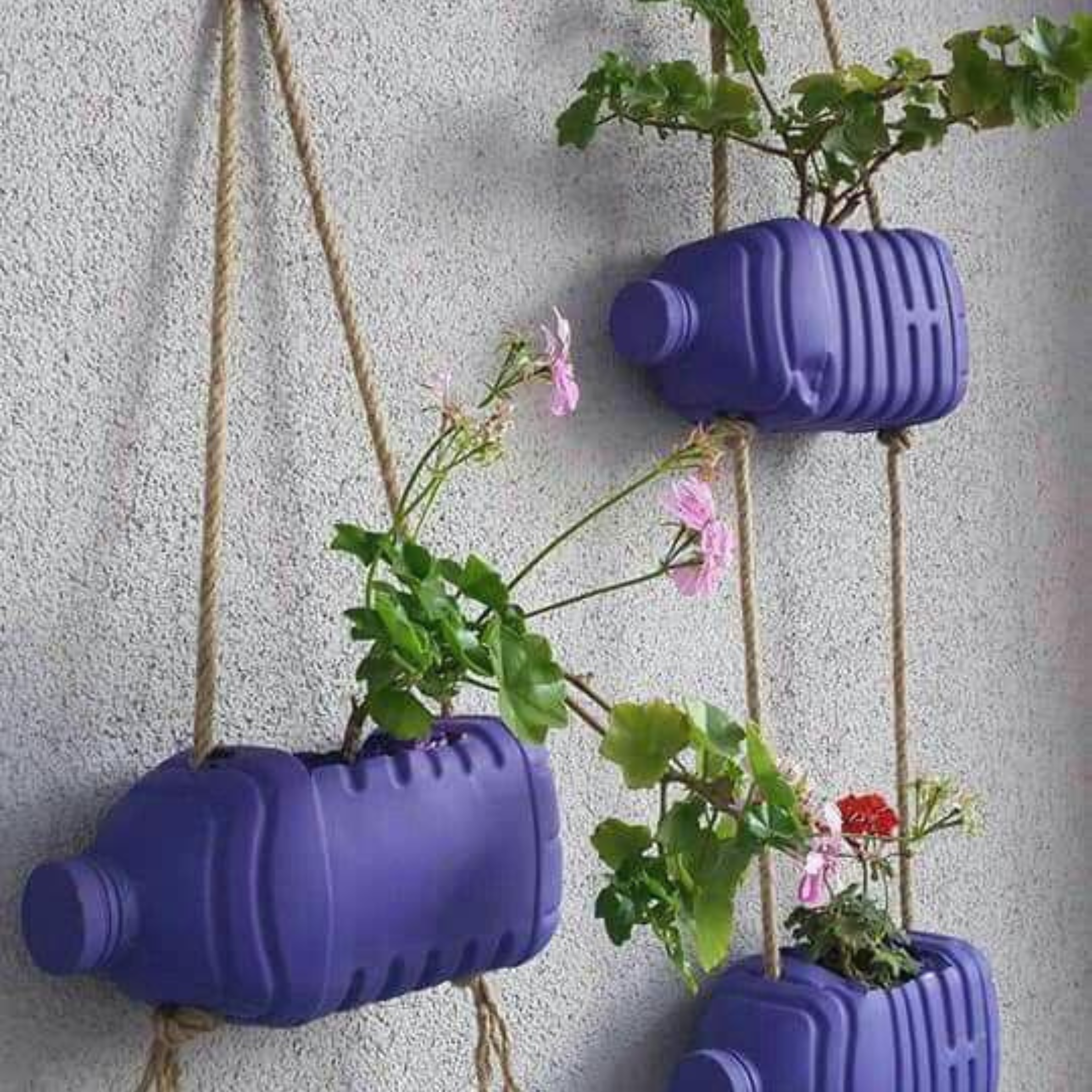 Recycled crafts with plants