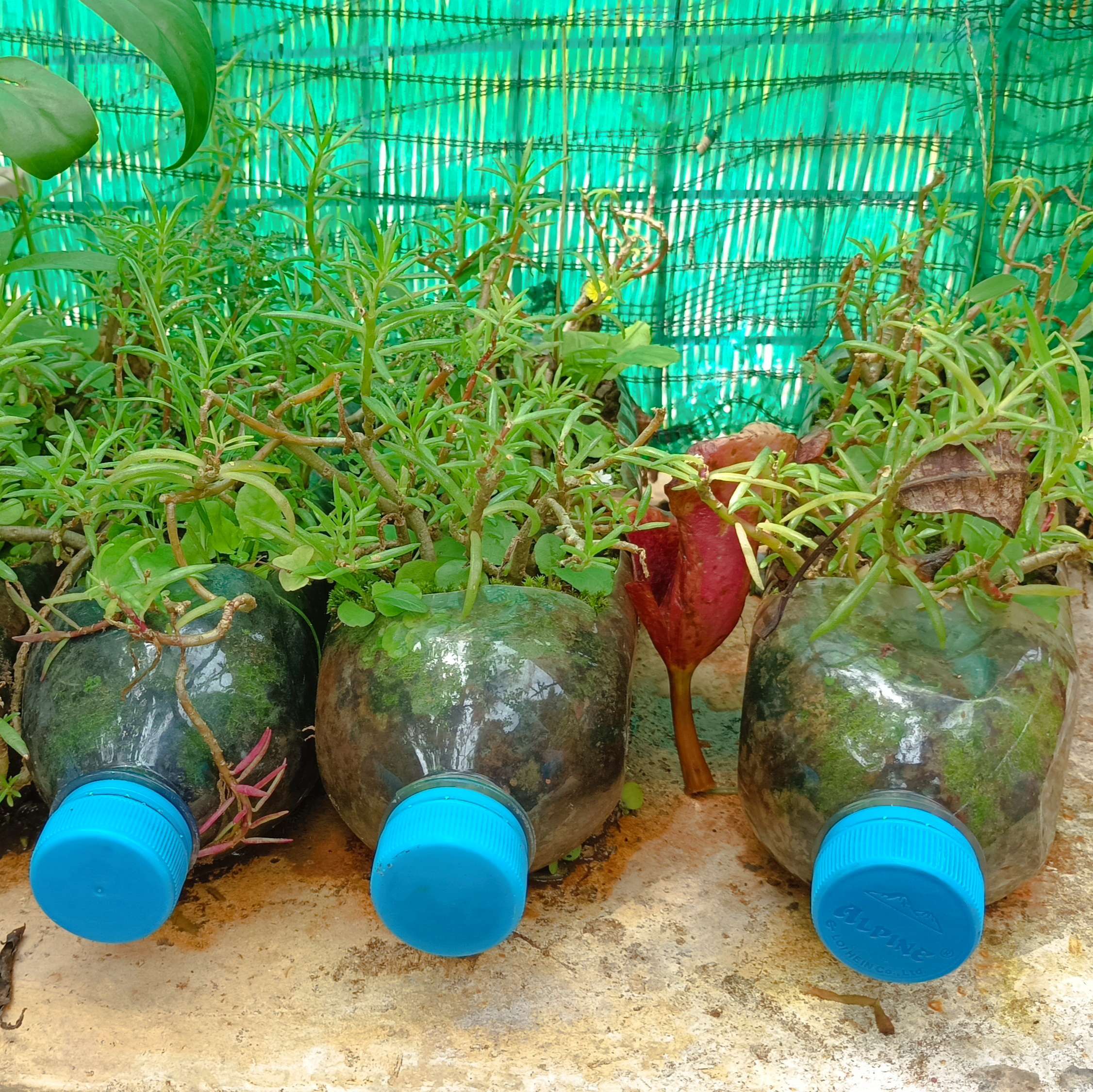 Recycled Item