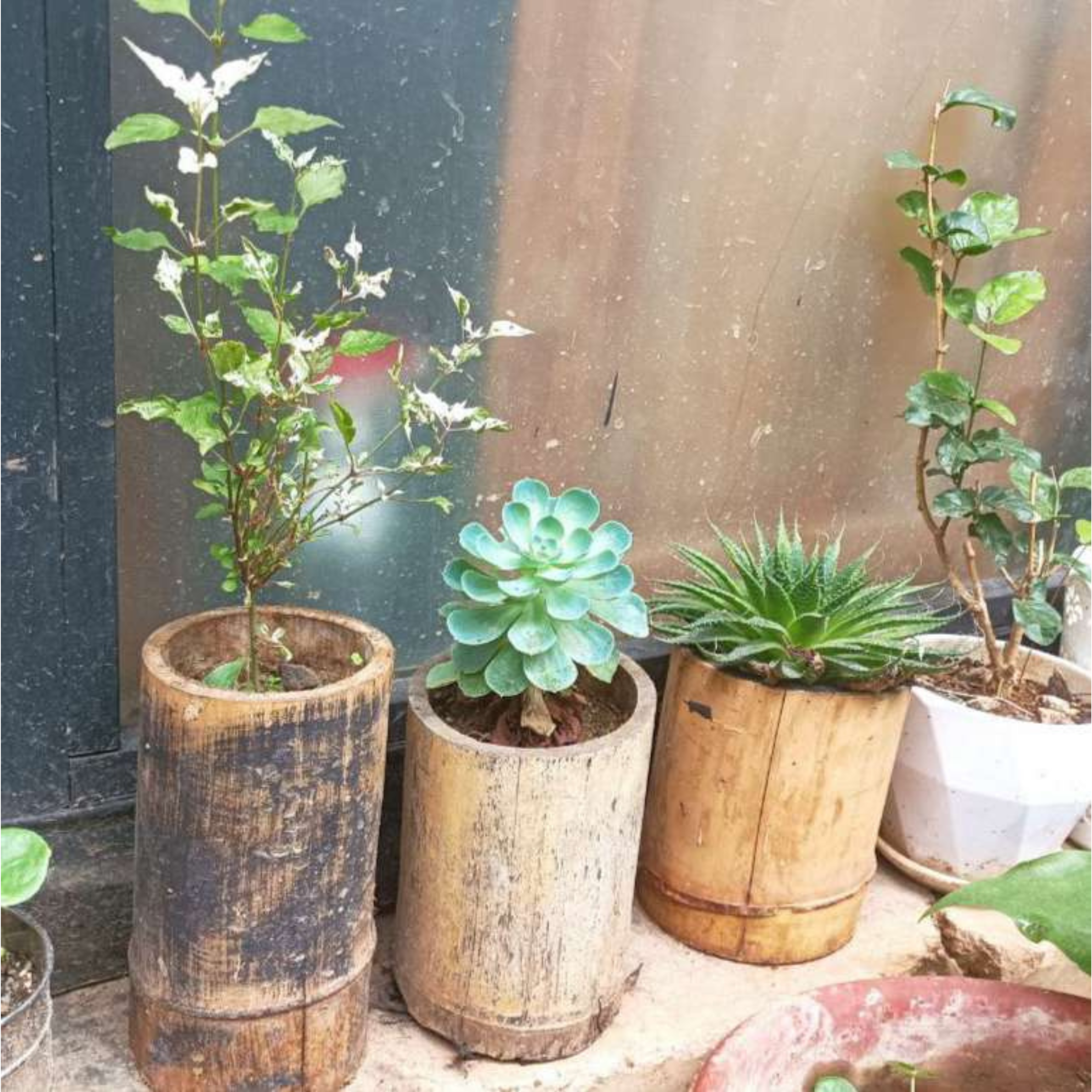 Recycle crafts that you can buy in our website