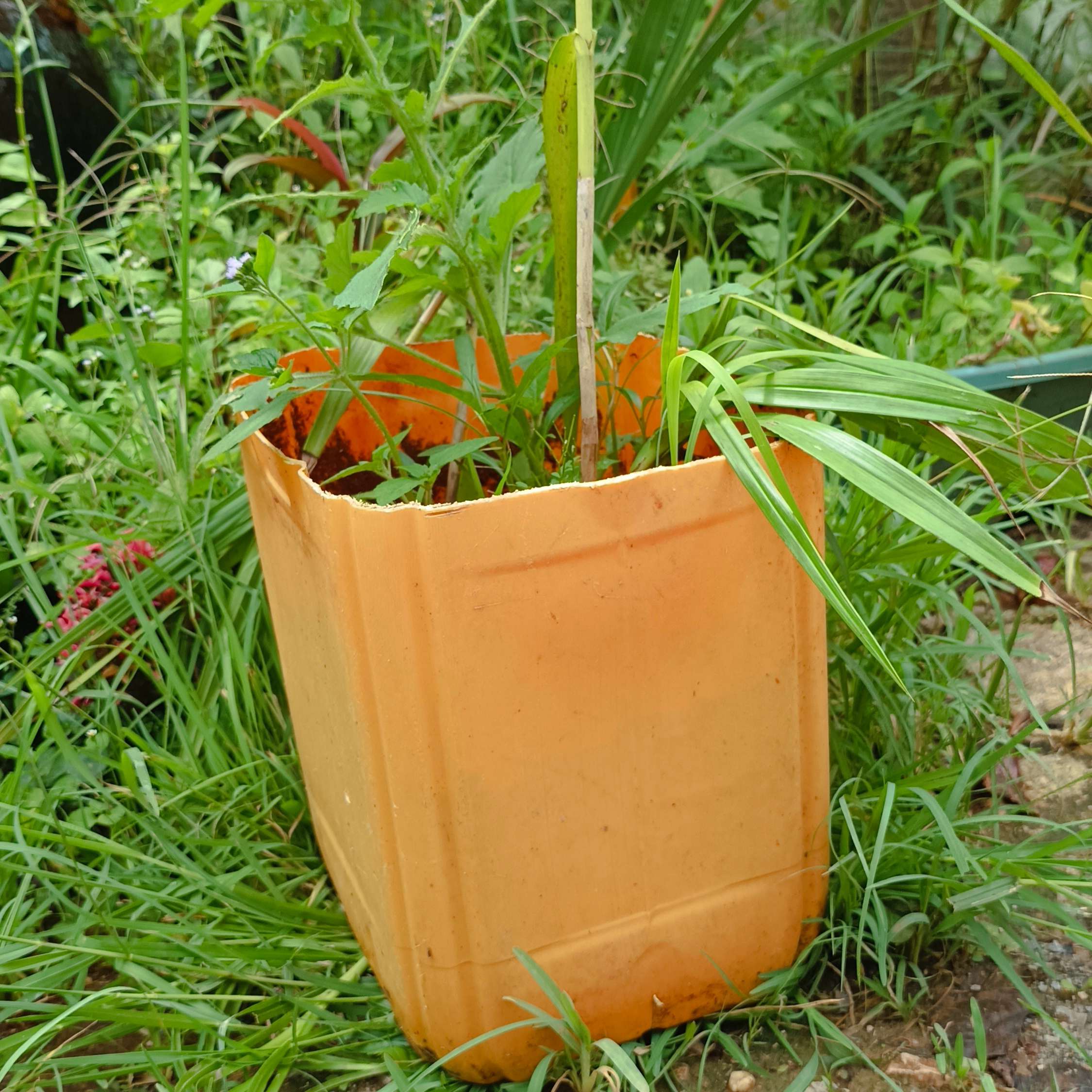 Recycled Item
