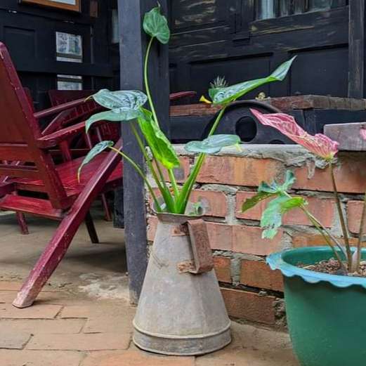 Recycle crafts that you can buy in our website