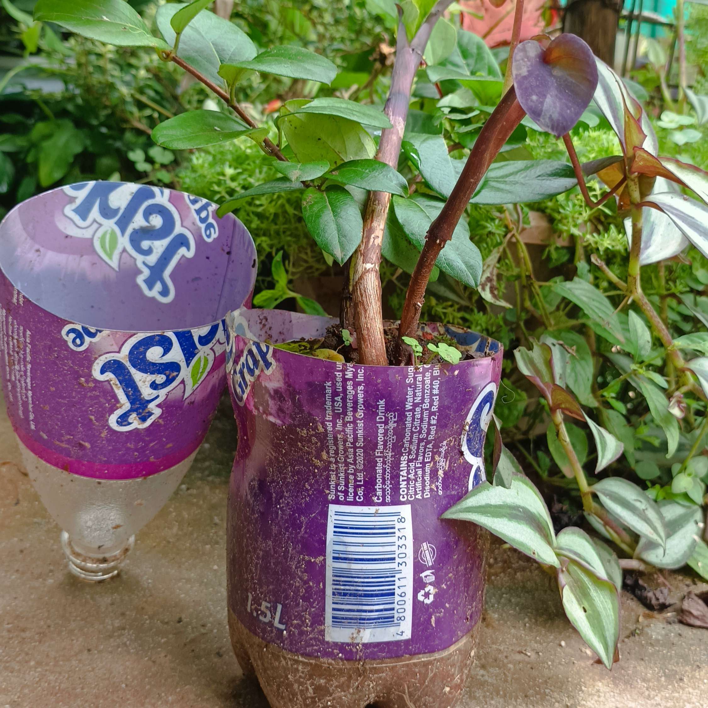 Recycled Item