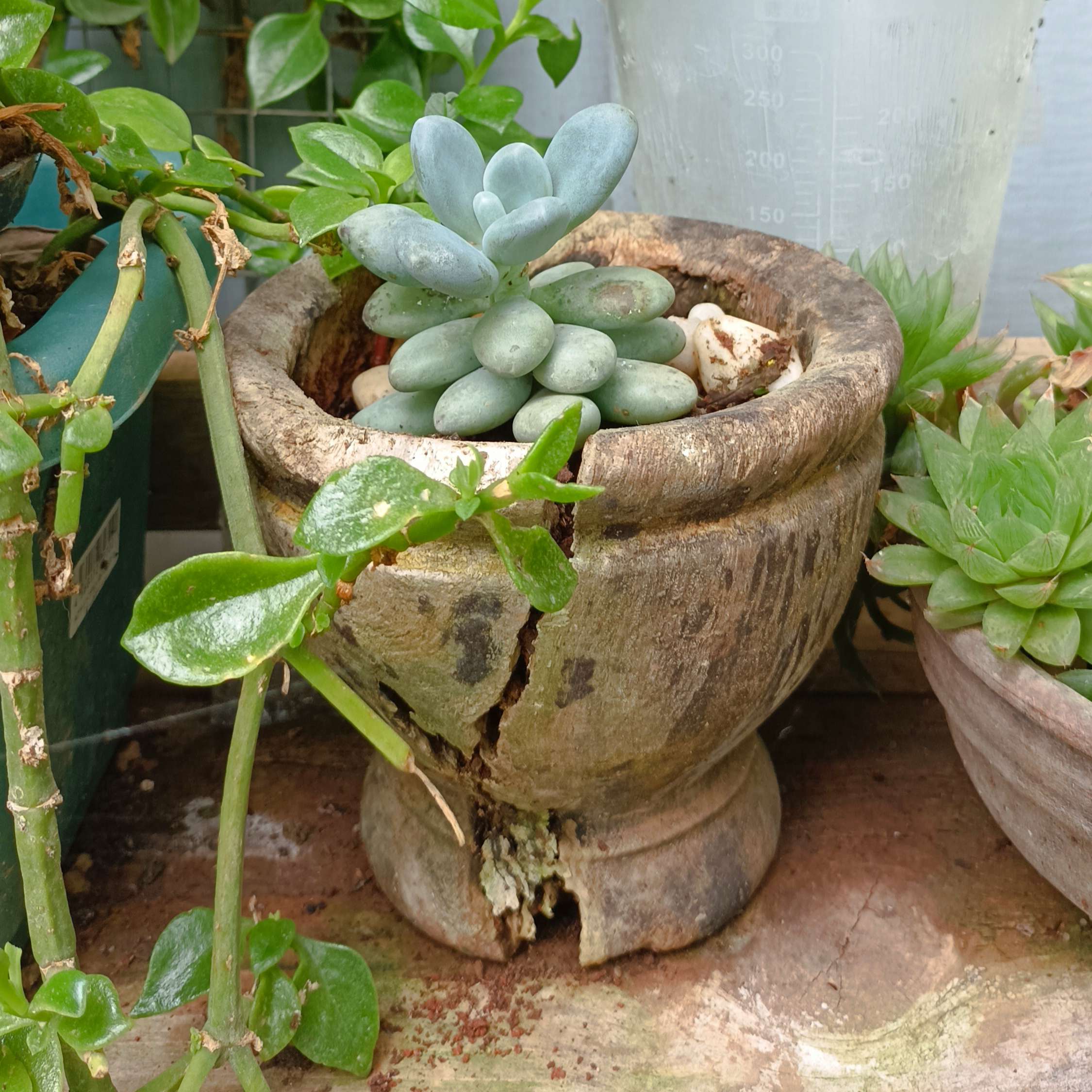 Recycled Item